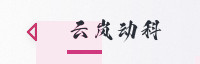 合作伙伴